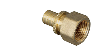 ����� ��� ���� �� ������� �����������